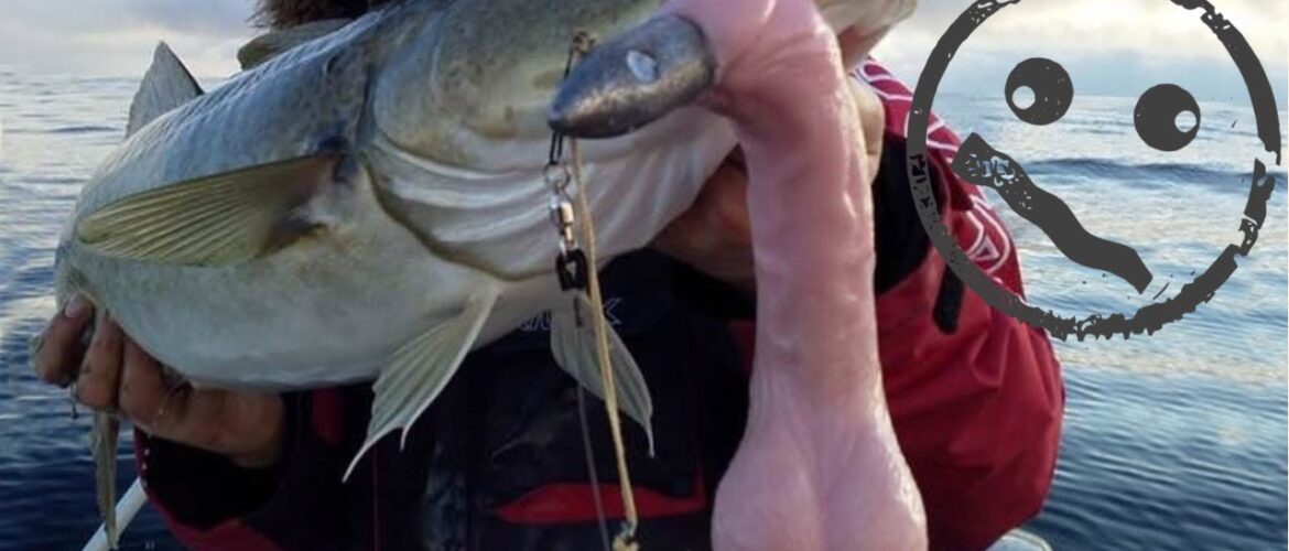 What Trout Fishing Lures Work Best?