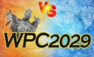 The WPC2029 Is What?